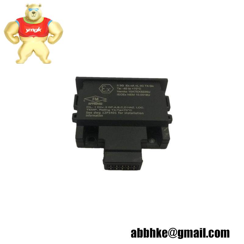 EMERSON 12P4983X302  Charm Address Plug