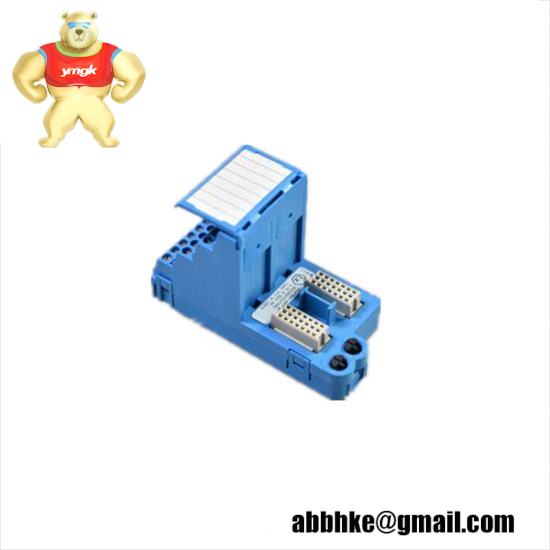 EMERSON KJ4110X1-BC1 IS Terminal Block