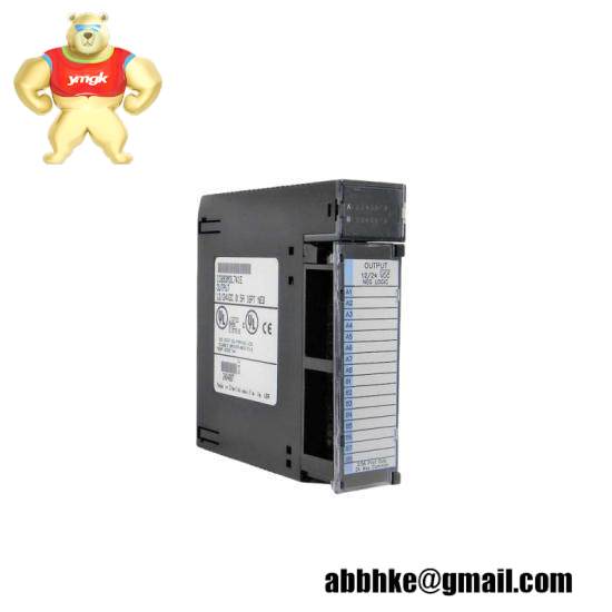 GE DS200SDCIG2AHB