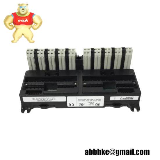 GE FANUC IC670CHS002