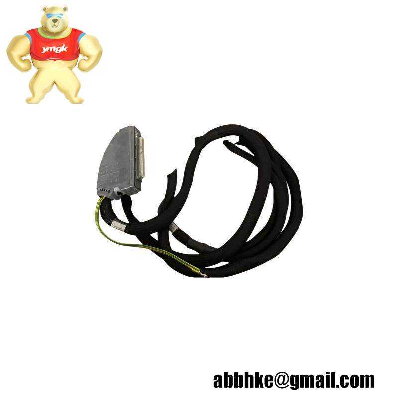ICS TRIPLEX TC-801-02-4M5
