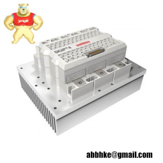 SKIIP 39AC12T4V1