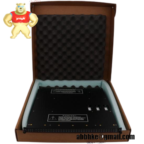 TRICON 9562-810