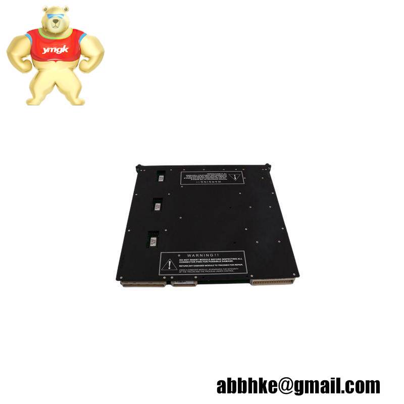TRICONEX 3807
