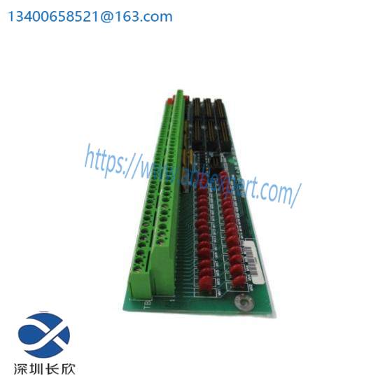GE Fanuc DS200TBQCG1AAA  Terminal Panel