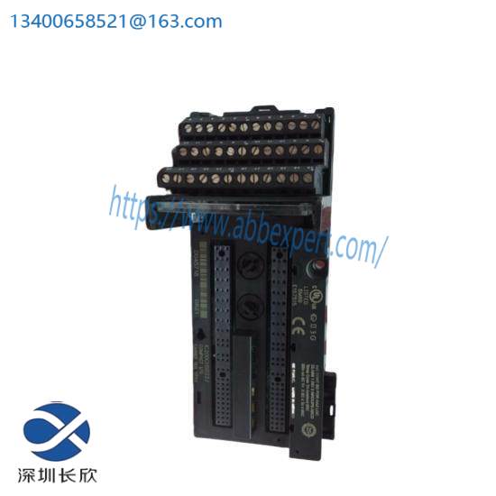 GE FANUC IC200CHS022 Controllers