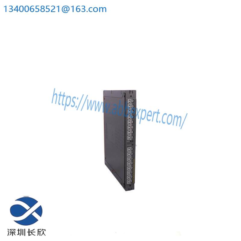 ICS TRIPLEX T811B Module