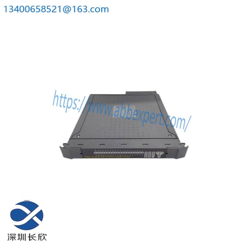 ICS TRIPLEX TC-303-01-2M0
