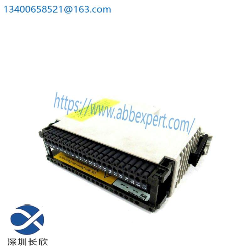 Schneider AS-BDAU-204 ANALOG OUTPUT MODULE