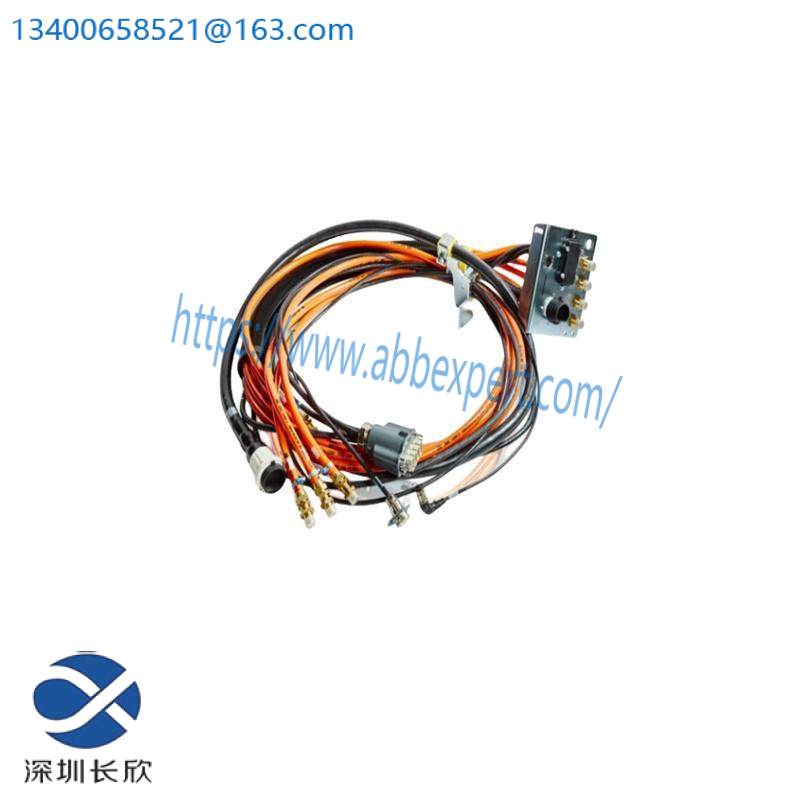 TRICONEX 2481