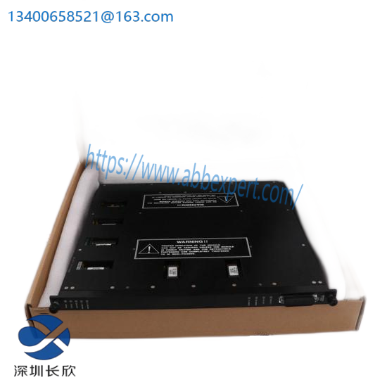 TRICONEX MP6004