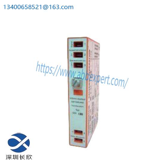 Vibro-Meter GSI130 244-130-000-204 Galvanic Separation Unit