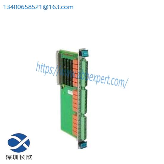 VIBRO METER VM600 RLC16 200-570-000-211