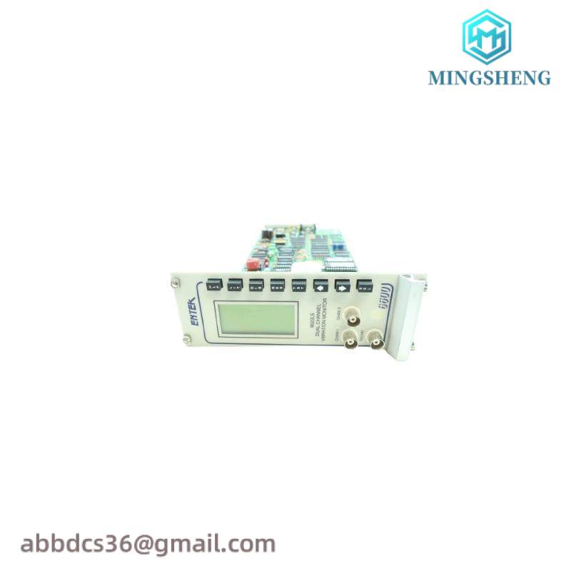 Entek 6622LS Dual Channel Vibration Monitor