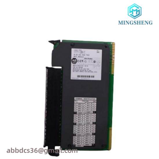 810019952R