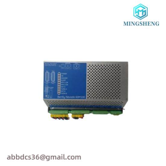 BENTLY NEVADA 60M100-00 Module