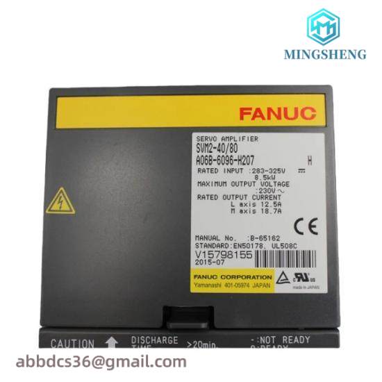 Fanuc A06B-6096-H207  GE Servo Module