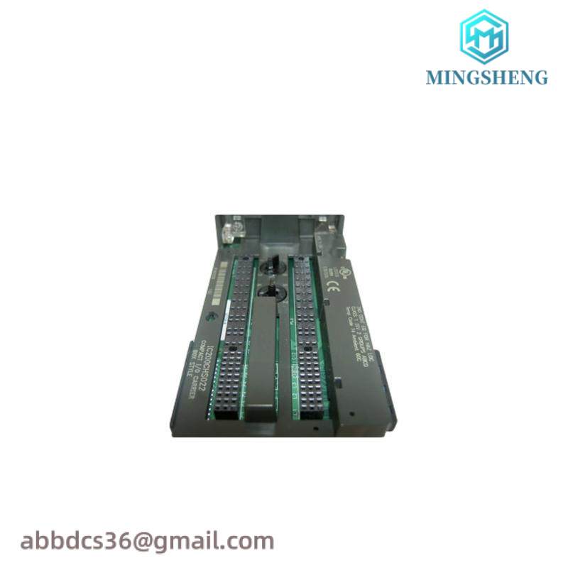 GE IC200CHS022 carrier module