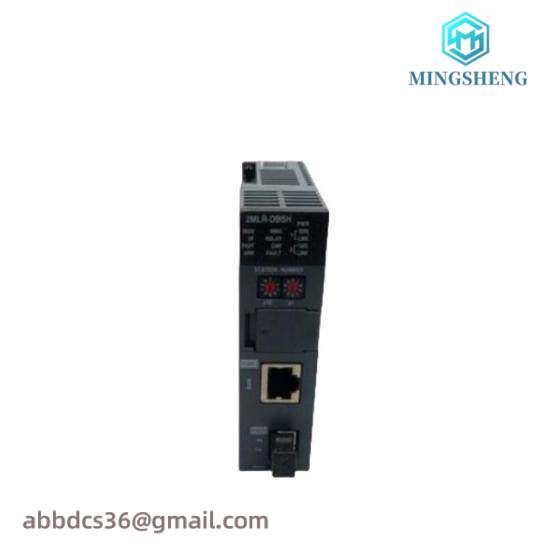 Honeywell 2MLR-DBST-CC 2MLR-DBSF-CC 2MLR-DBSH-CC  Expansion Driver Module