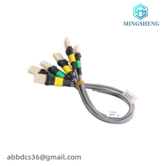 Honeywell FS-IOBUS-CPIO3  IO Bus from Controller Chassis to IO Chassis