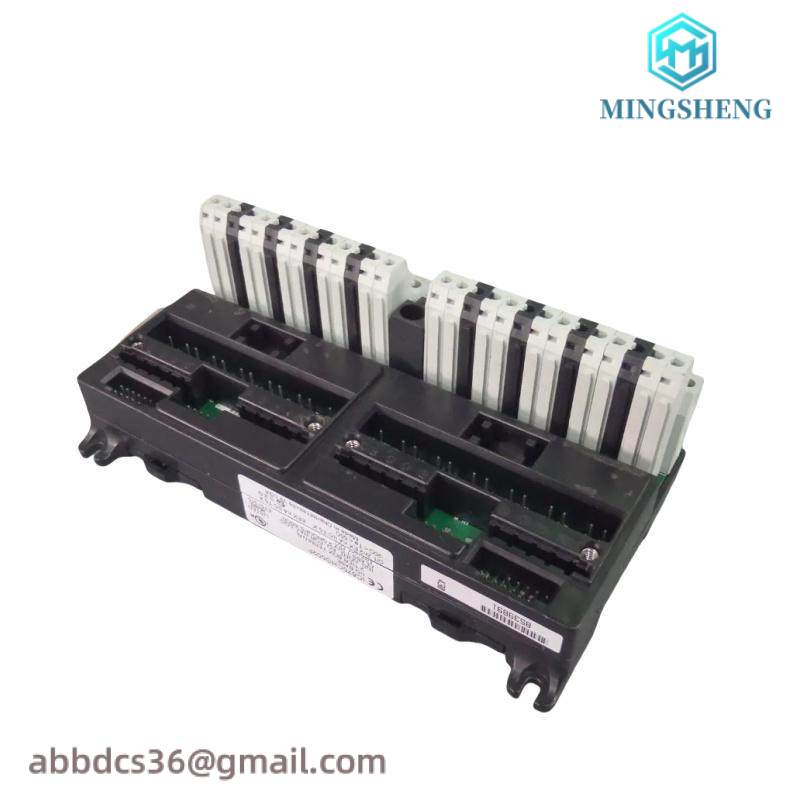 GE IC670CHS002 I/O terminal block