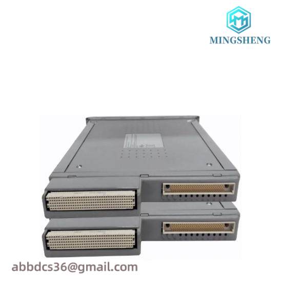 ICS TRIPLEX T8191