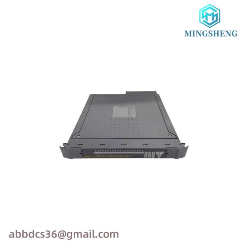 ICS TRIPLEX TC-303-01-2M0