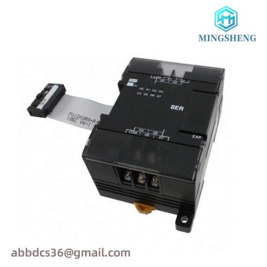 OMRON CP1W-DA021 D/A Unit