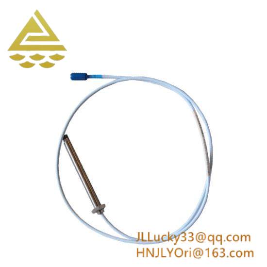 Bently Nevada 330103-00-06-05-02-00  TSI System
