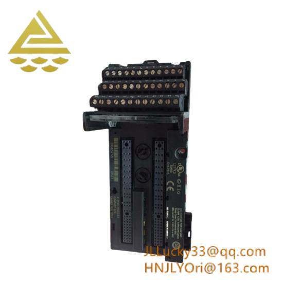 GE FANUC IC200CHS022 Controllers