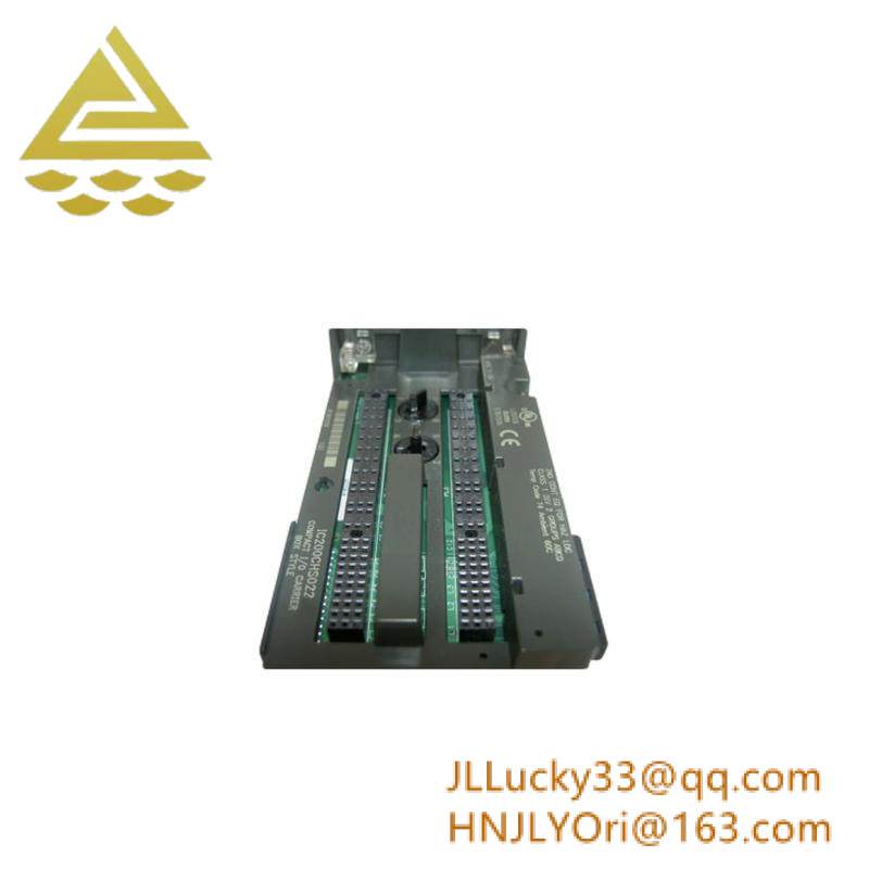 GE IC200CHS022 carrier module