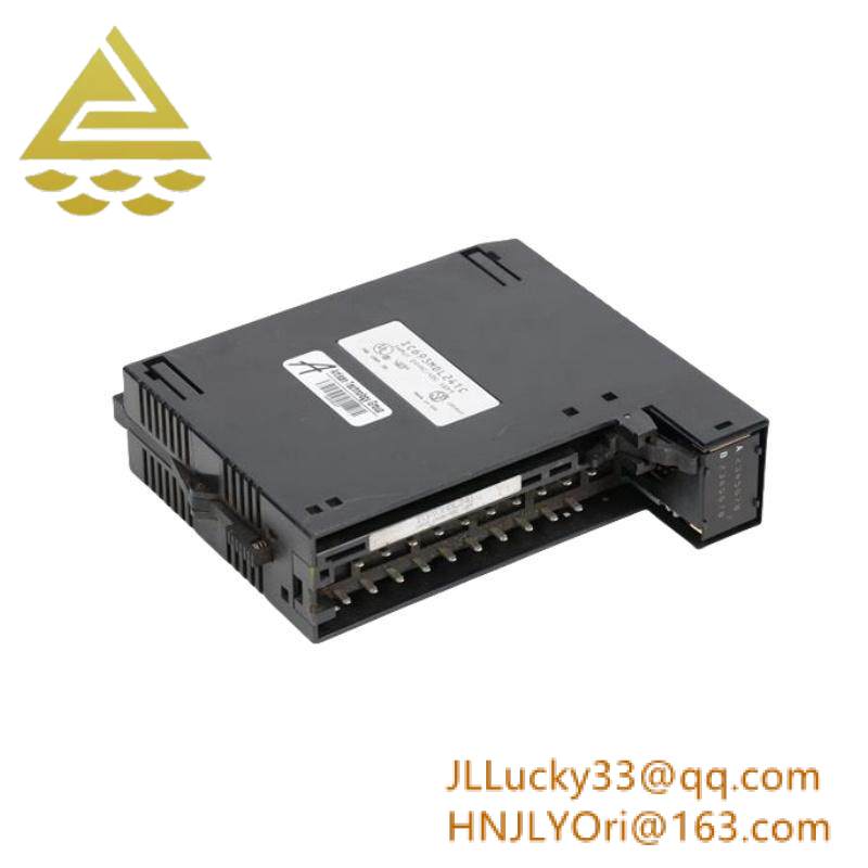 GE IC693MDL241 Positive/Negative Input module