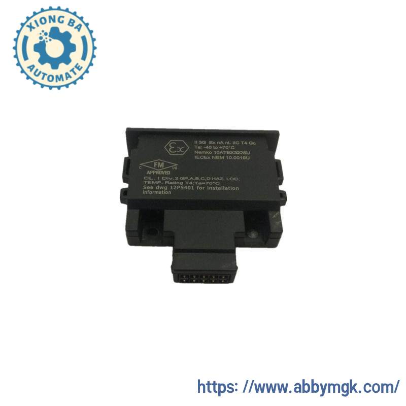 Emerson 12P4983X302 Charm Address Plug