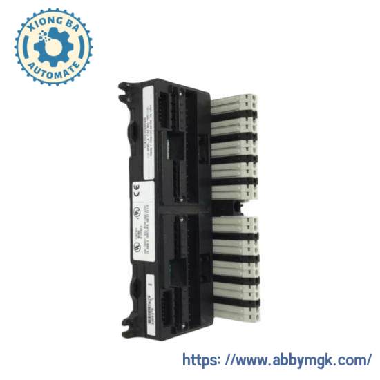 GE FANUC IC670CHS002