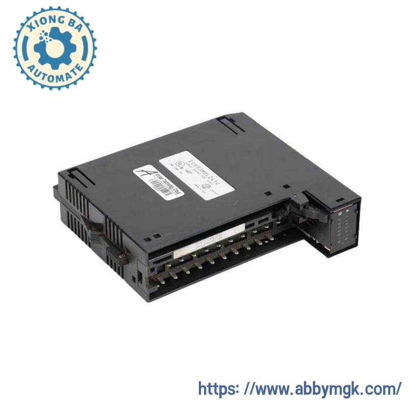 GE IC693MDL241 Positive/Negative Input module