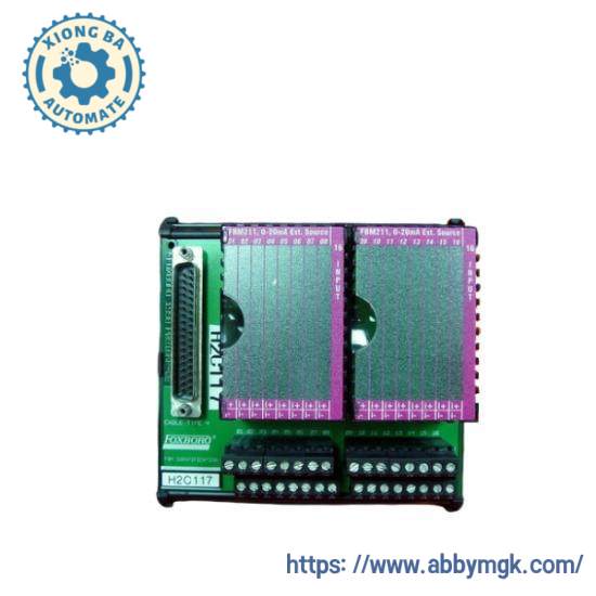 P0916JT  I/A Series Module  Foxboro