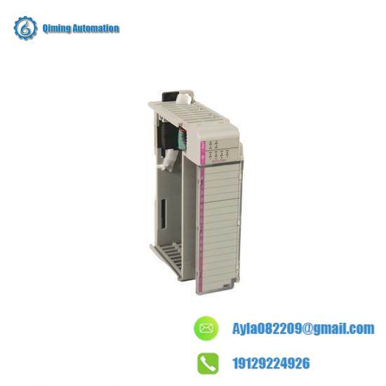 1769-BOOLEAN 24V dc combination input/output module