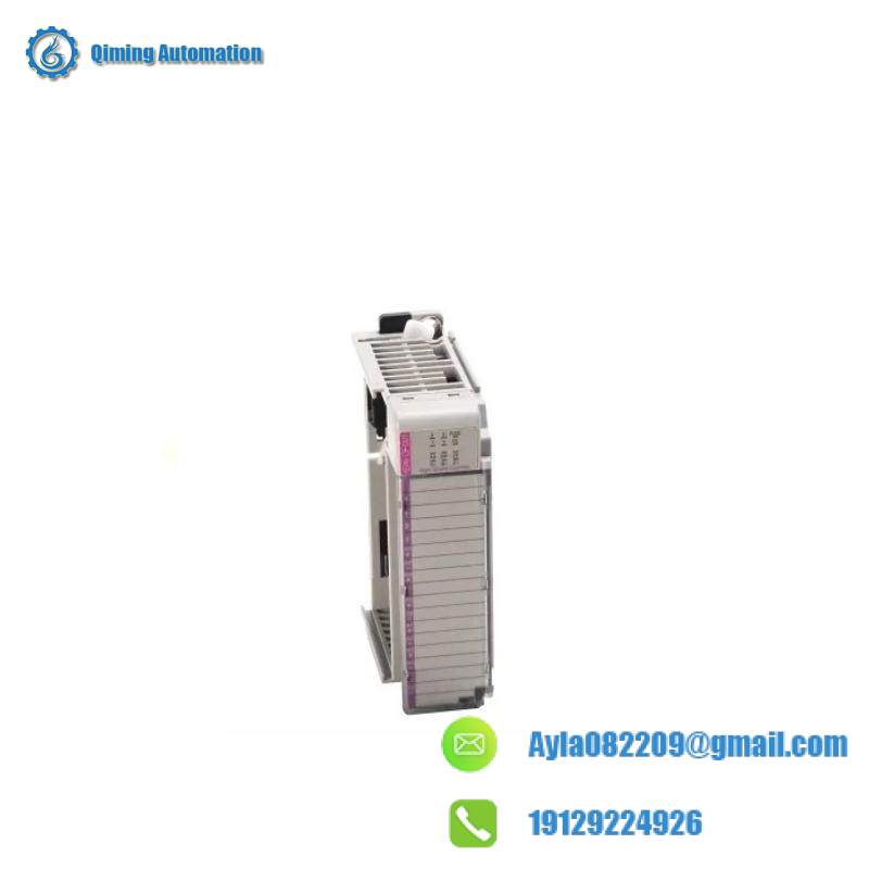 AB 1769-IA8I AC Digital,8 Point