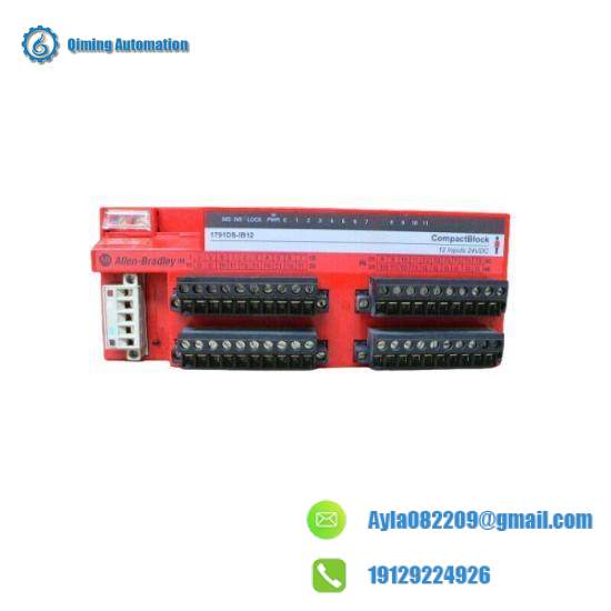 1791-DSIB12 Input Module