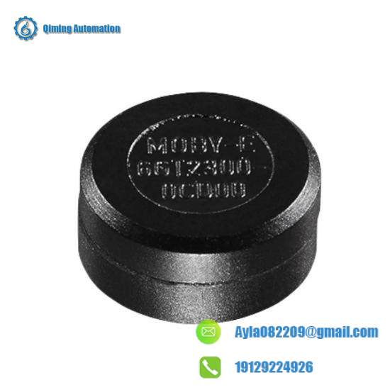 6GT2300-0CD00  Siemens Moby MDS E623