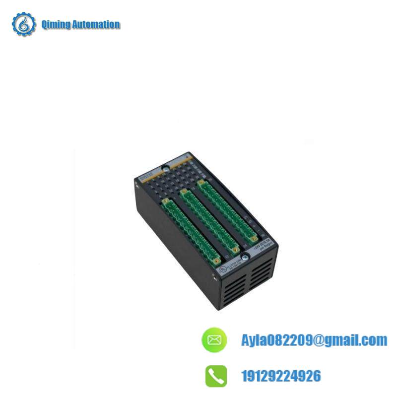 Bachmann DI0232 Digital Input/Output Module