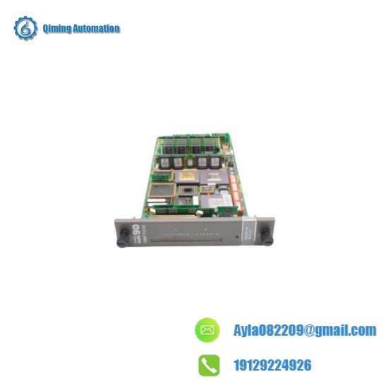 BAILEY IPFLD24