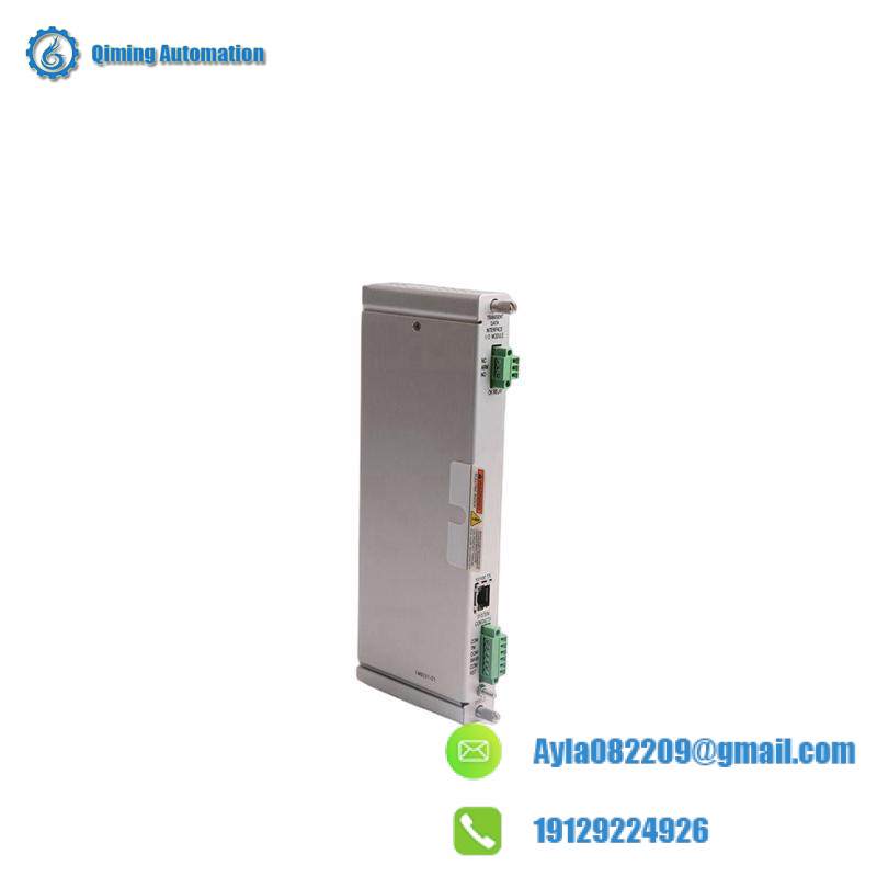 Bently Nevada 125736-01 I/O MODULE