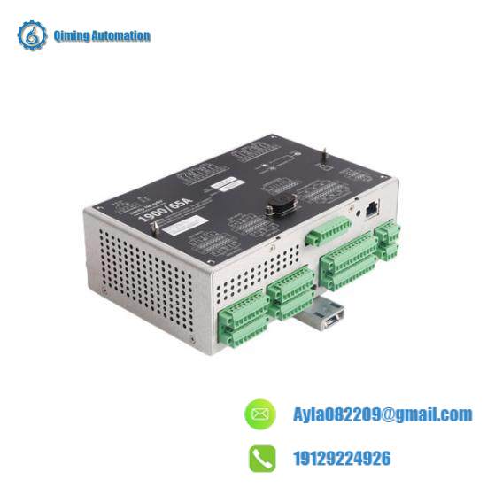 Bently Nevada 1900/65A 1900/65A-01-02-01-00-00 equipment Moniteur