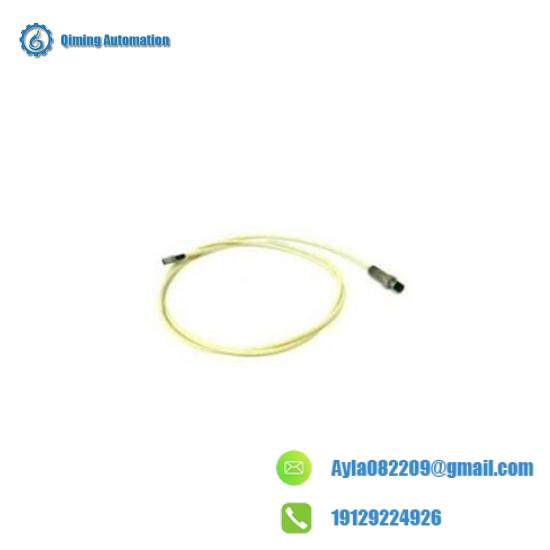 BENTLY NEVADA 330905-00-12-10-02-05