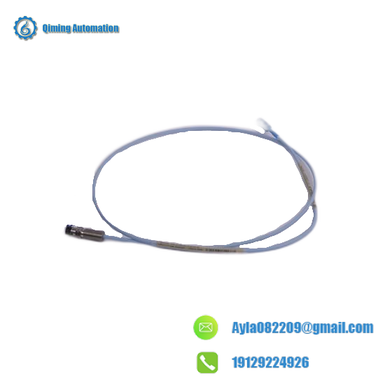 Bently Nevada 300103-A00-B09-C10-D02-E0