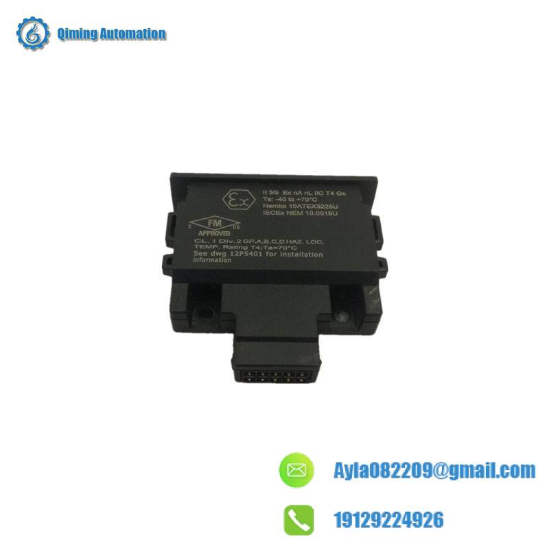 Emerson 12P4983X302 Charm Address Plug