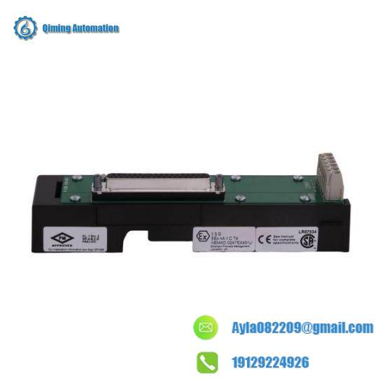 Emerson KJ4010X1-BG1 12P0830X062 Localbus Right Extender