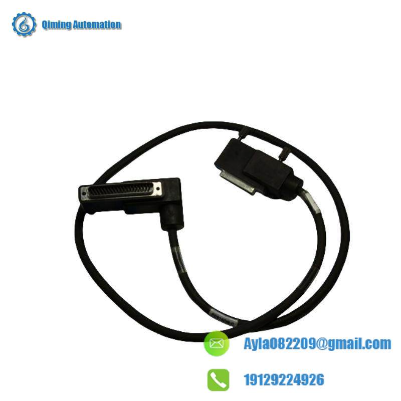 Foxboro P0916DB TERMINATION CABLE