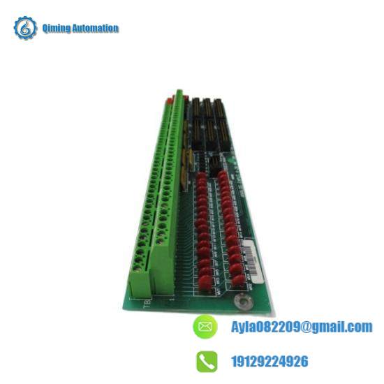 GE Fanuc DS200TBQCG1AAA  Terminal Panel